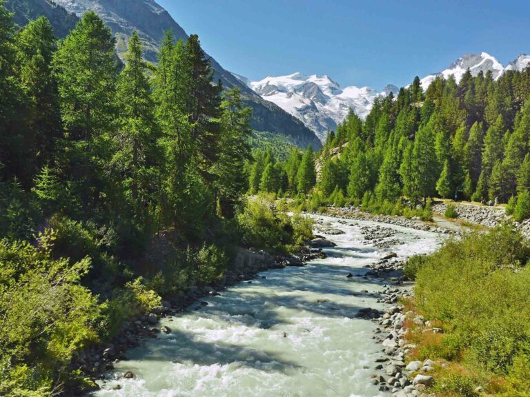 The image shows a stream running through the mountains and flowing through the forests of Valtellina.